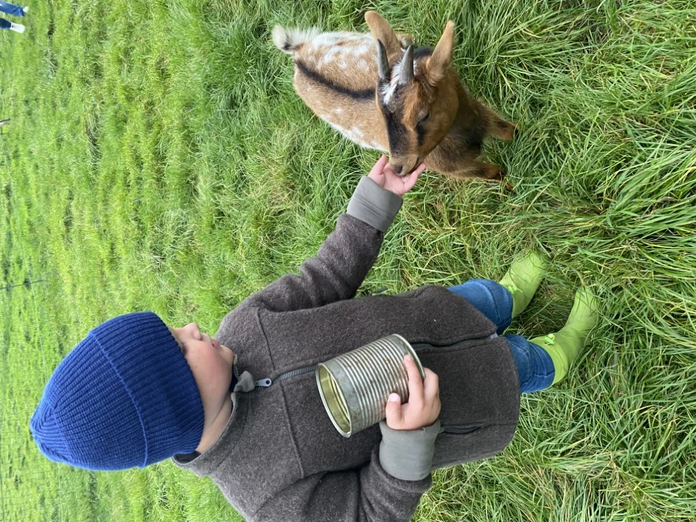 Unsere Tiere auf dem Hof Seefeld – Bild 8